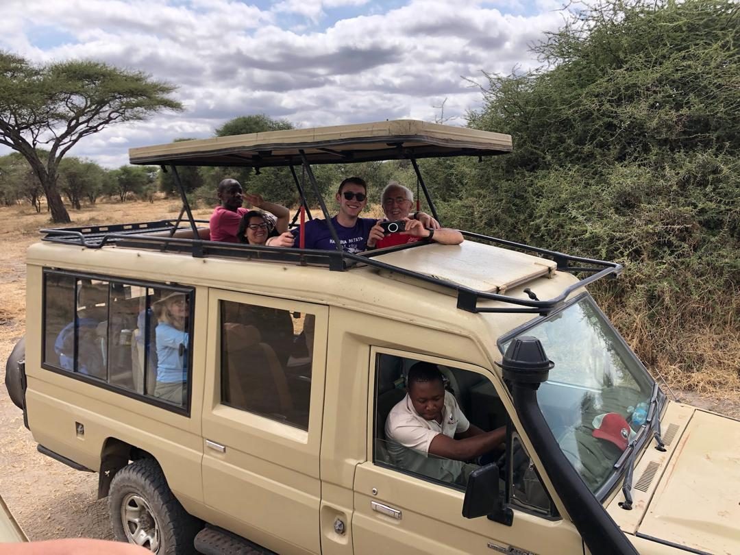 How Much Does a Safari Cost?
